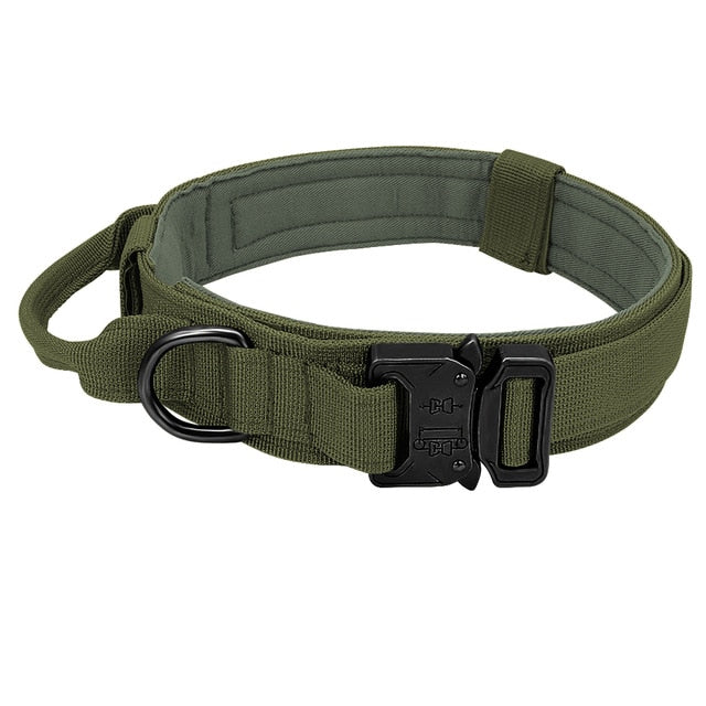 Scout Dog Collar - Green