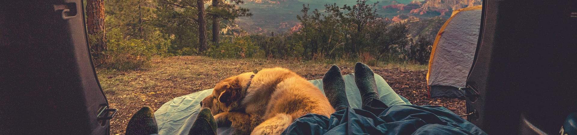 Dog Beds & Blankets for Hiking, Camping and Overlanding | Maverek