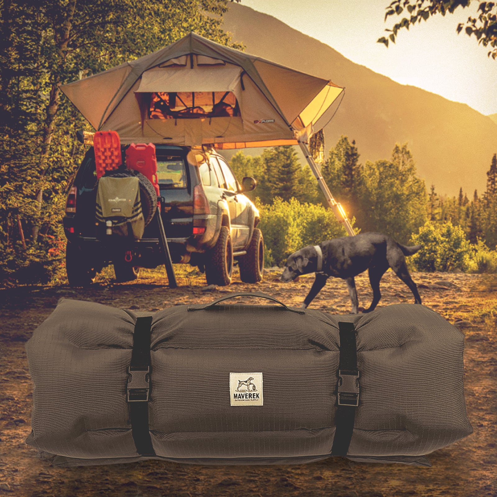 https://mavereksupply.com/cdn/shop/files/Maverek_Backwoods_Dog_Travel_Bed_In_Use_1600x.jpg?v=1654790459