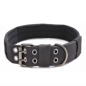 Delta Dog Collar - Black