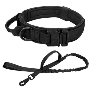 Scout Dog Collar & Leash