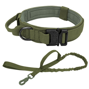 Scout Dog Collar & Leash