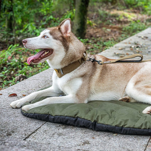 Backwoods Dog Sleeping Mat