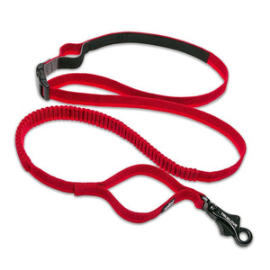 Truelove Trail Dog Leash - Red